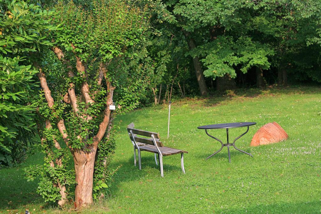 Castello Rosso Hotel Costigliole Saluzzo Екстериор снимка